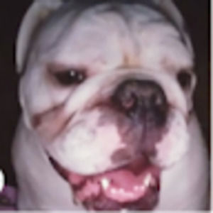 Meet your Posher, Carl